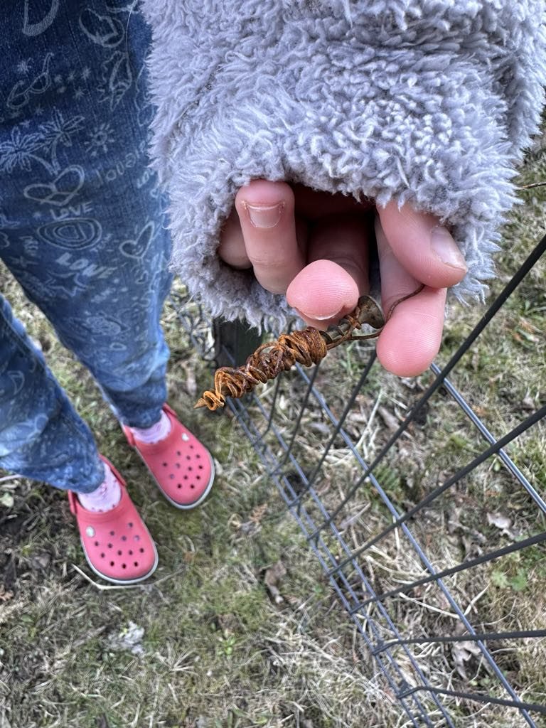 Ilgalaikis projektas Medžiagų pokyčiai